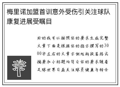 梅里诺加盟首训意外受伤引关注球队康复进展受瞩目